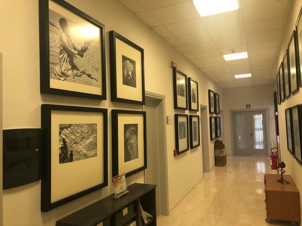 Determinismi e altri accidenti nel tempo e nello spazio alle Due Culture di Biogem